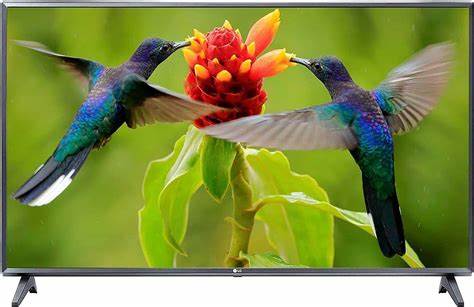 tv सर्वश्रेष्ठ टीवी