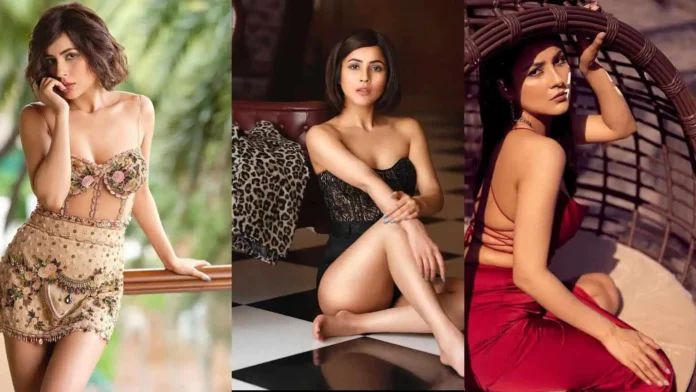 2024 तक शहनाज़ गिल की अनुमानित कुल संपत्ति लगभग INR 30 करोड़ (लगभग USD 4 मिलियन) बताई गई है। वह अभिनय, ब्रांड एंडोर्समेंट, संगीत वीडियो और सोशल मीडिया सहयोग के माध्यम से 2024 में शहनाज़ गिल की तस्वीरें: पिछले कई सालों में अभिनेत्री की सर्वश्रेष्ठ तस्वीरें