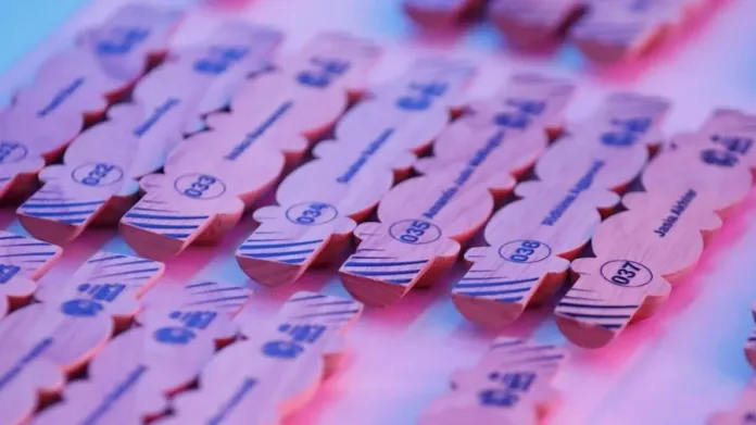 WPL-2025-Player-Auction TATA WPL 2025