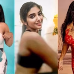 प्रज्ञा नागरा वायरल वीडियो: विवादों से ऊपर उठकर अभिनेत्री ने शानदार वापसी की