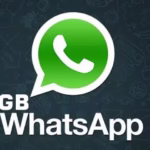 2025 तक GB WhatsApp अपडेट करने के आसान तरीके (भाग 1)