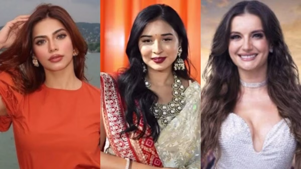 Bigg Boss 19 Contestants
